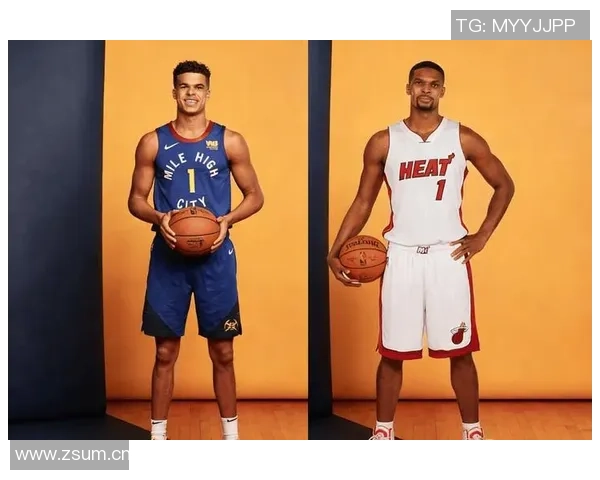 富保罗直言热火三巨头不成立波什未达特权级别引发热议