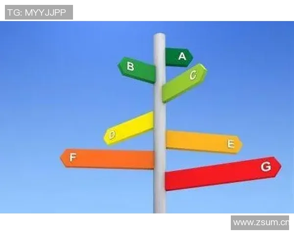 在关键时刻做出明智选择的重要性与不可避免性 在关键时刻做出明智选择的重要性与不可避免性